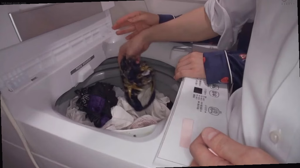 シーン3：最終返済方法の提示 6